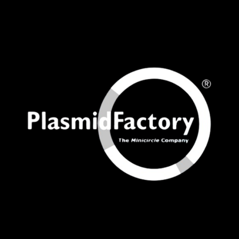 PlasmidFactory